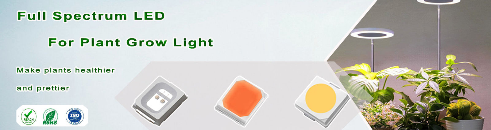Двухцветные светодиоды SMD