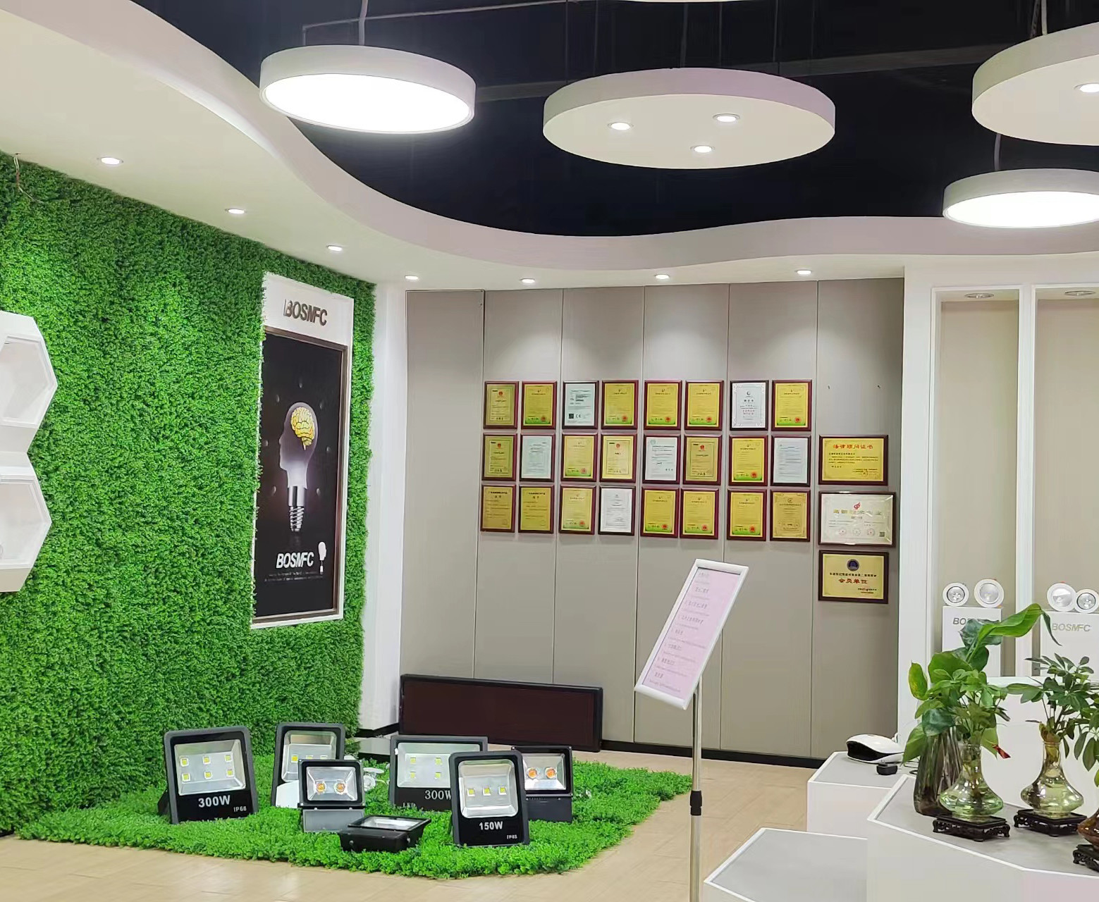 Китай Dongguan Lanjin Optoelectronics Co., Ltd. Профиль компании
