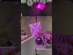 2835 SMD LED PCB полный спектр COB Для растений LED Grow Light